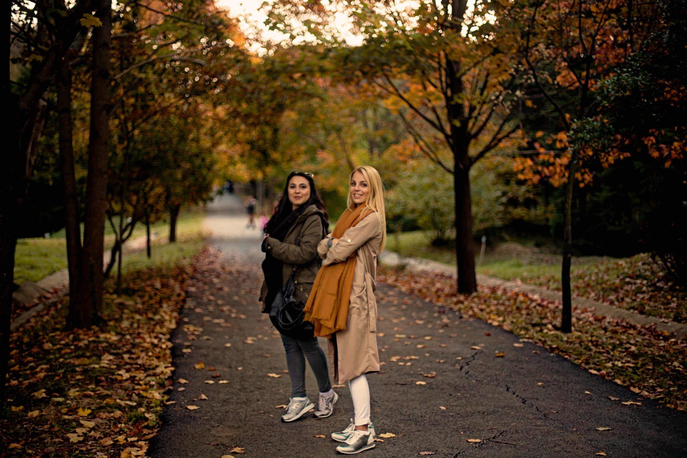 two people standing in the middle of an autumn park