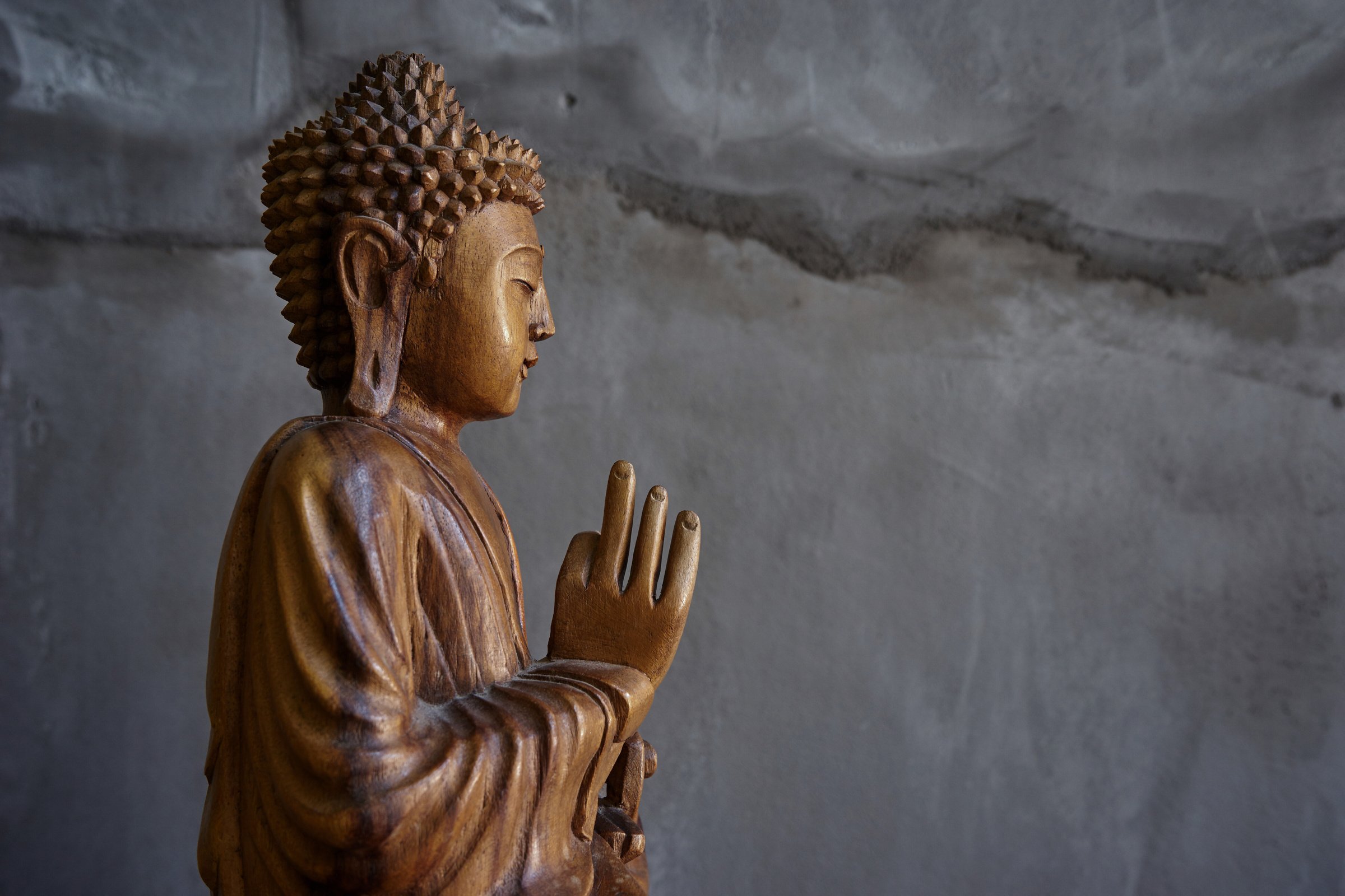 a buddha statue is shown in front of a wall